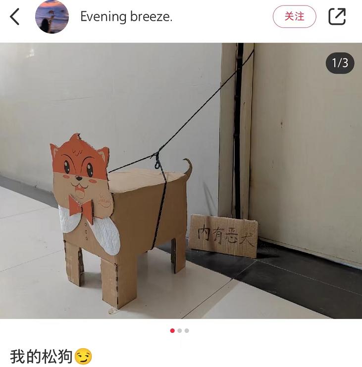 当代大学生的迷惑行为一个视频,纸箱手工制作教程可爱的小狗