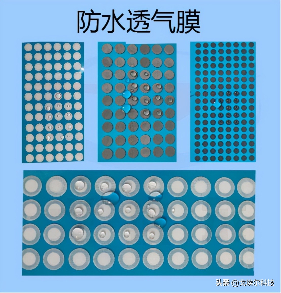 戈埃尔科技防水透明膜,戈埃尔科技防水透气膜