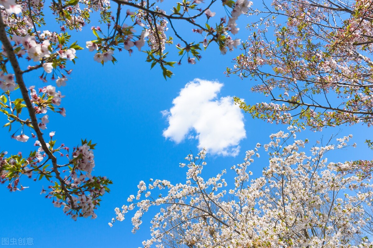 40种改变自己生活方法,改变自己的30个小习惯