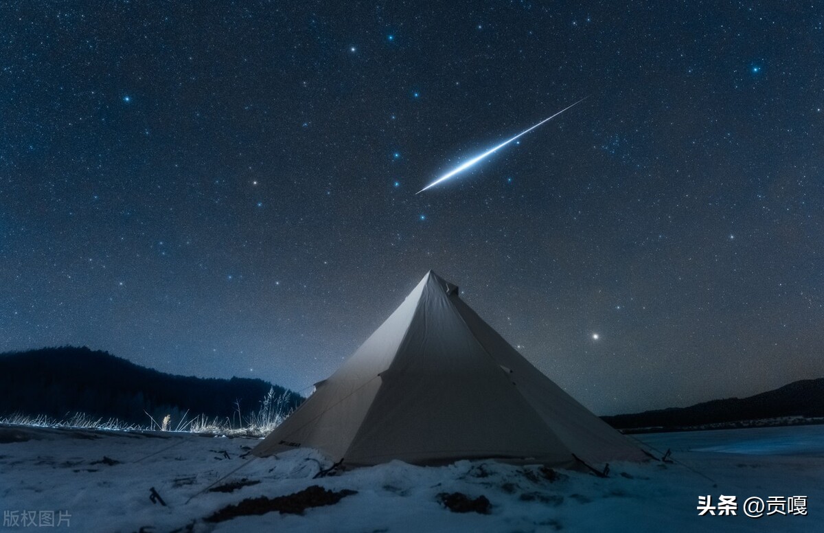 迎春七律100首,七律四首贺新春诗