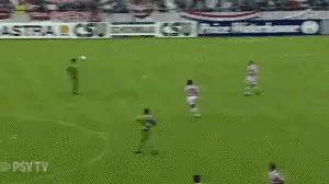 足球人物志小罗,足球运动员大罗