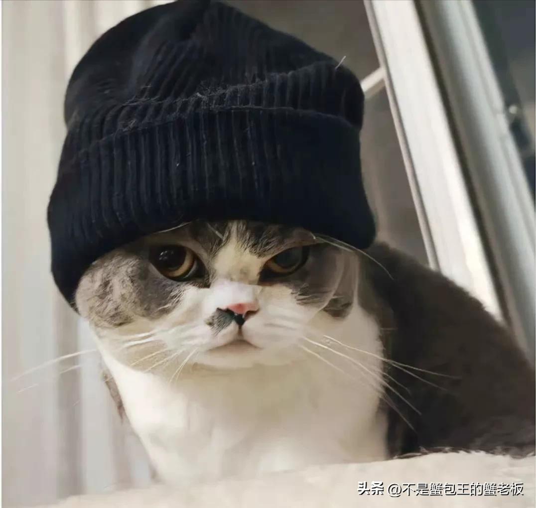 鍦ㄩ┚鏍$殑鏃ュ瓙娌℃湁鎮叉鍙湁绂诲悎,璧拌繘椹炬牎娌℃湁绂诲悎鍙湁鎮叉