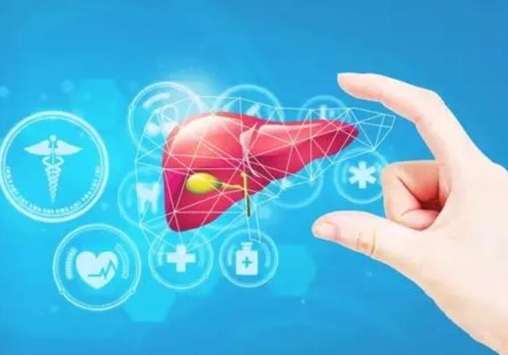 蛋白质吃多了会伤肾,蛋白质吃多危害