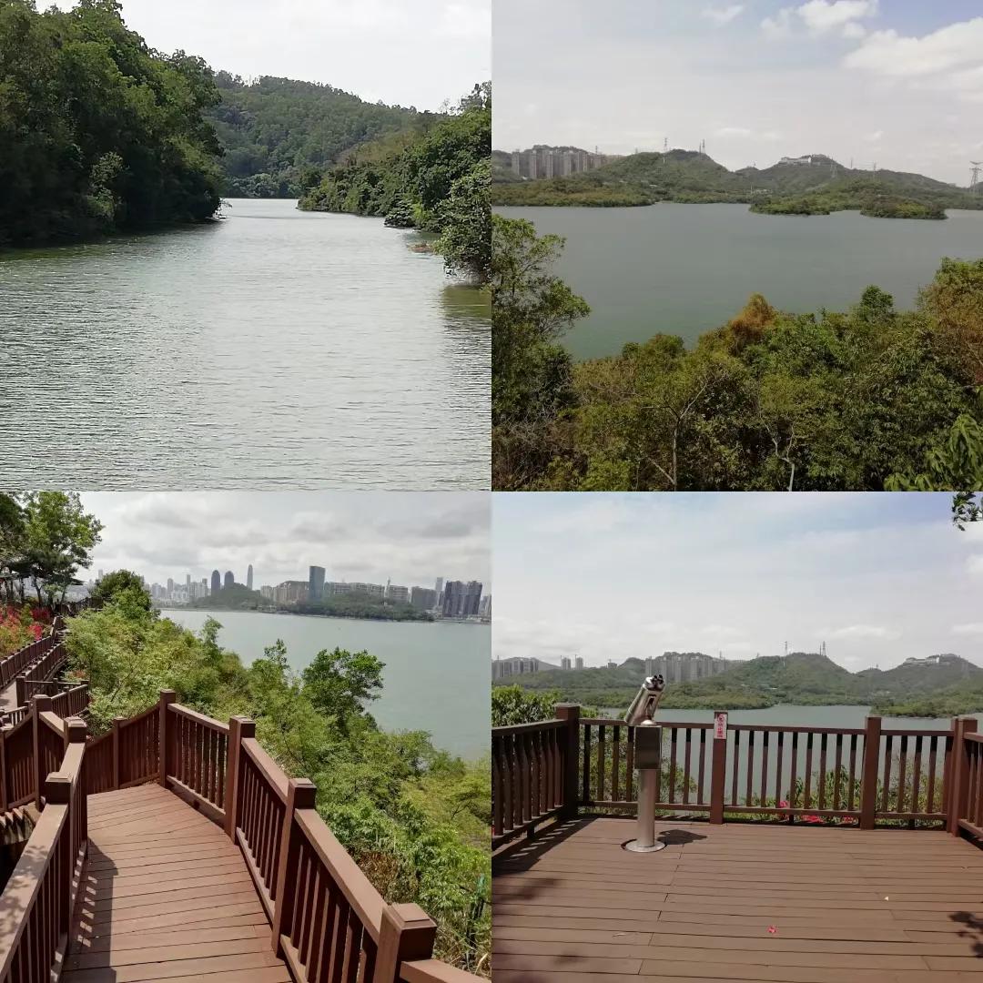 梧桐绿道东湖公园徒步,深圳梧桐绿道步行攻略