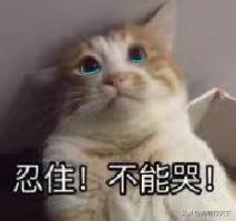 win7纪念版,win7淘汰了吗