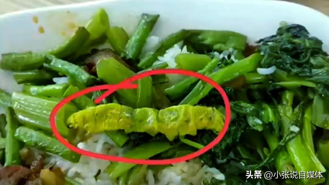 江西食堂真厉害！小便池里洗餐具，鼠头升级大青虫！