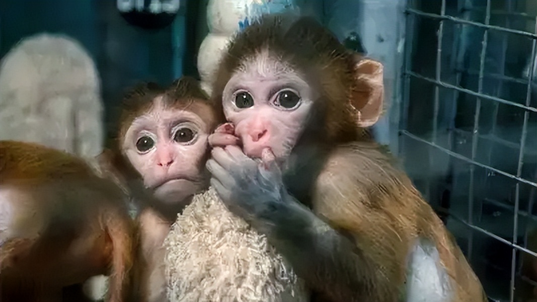 明明很爱孩子但是就是忍不住骂他,明明很爱孩子为什么忍不住打骂