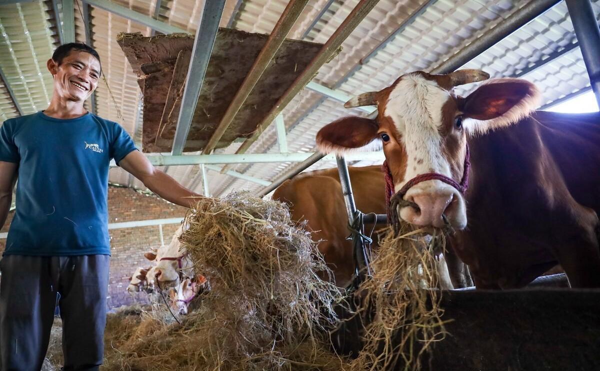 「惊！牛肉价格跌至45元3斤，2023年11月11日牛价跌破谷底！」