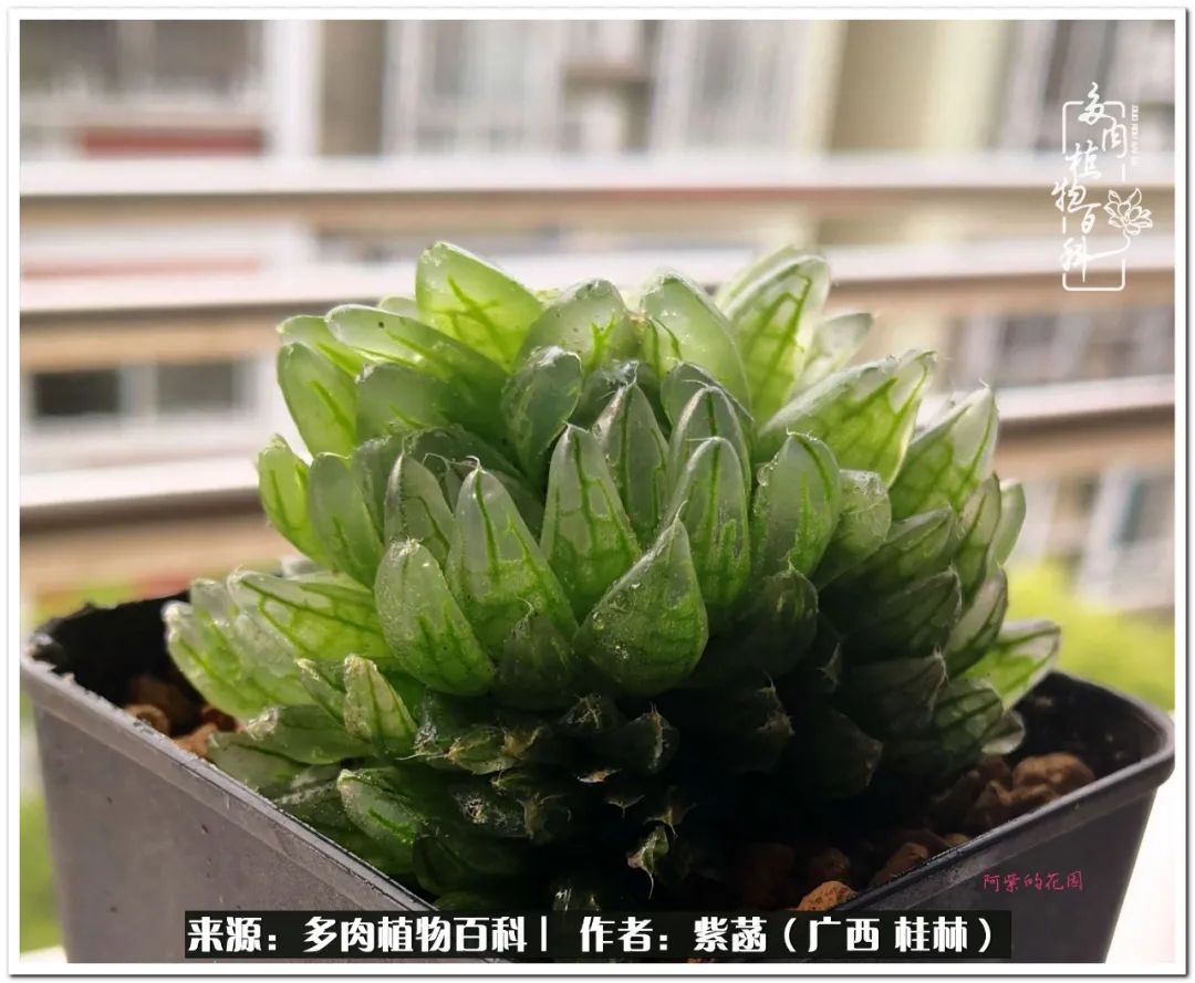 酷暑里的关爱，如十二卷般透亮绵长