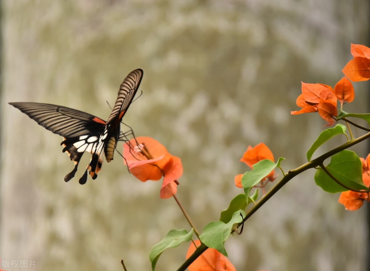 人这辈子最大的悲哀，不是没钱，而是老了以后被子女这么对待