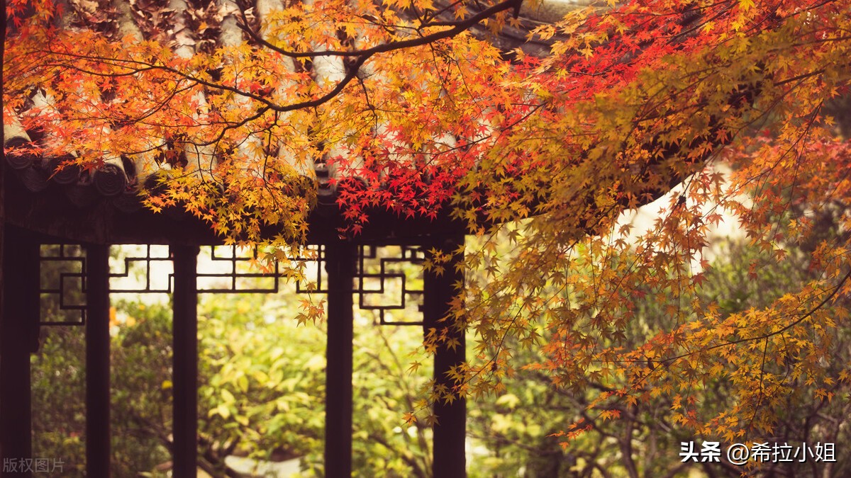 苏州旅游必去十大景点推荐理由,苏州旅游必须去的景点有哪些地方