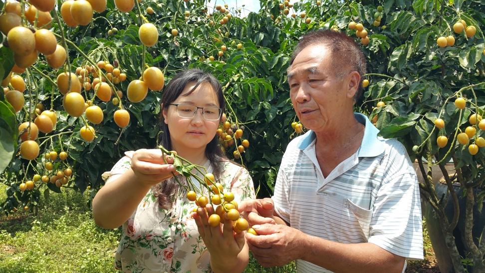 商务厅农业农村厅联合主办，拼多多“农云行动”落地第一水果大省