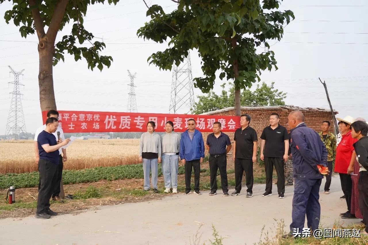 保定博士农场支持政策,保定博士农场