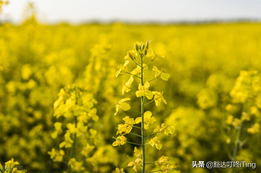 一生一次川藏线，最美的风景在路上-骑行318小纪