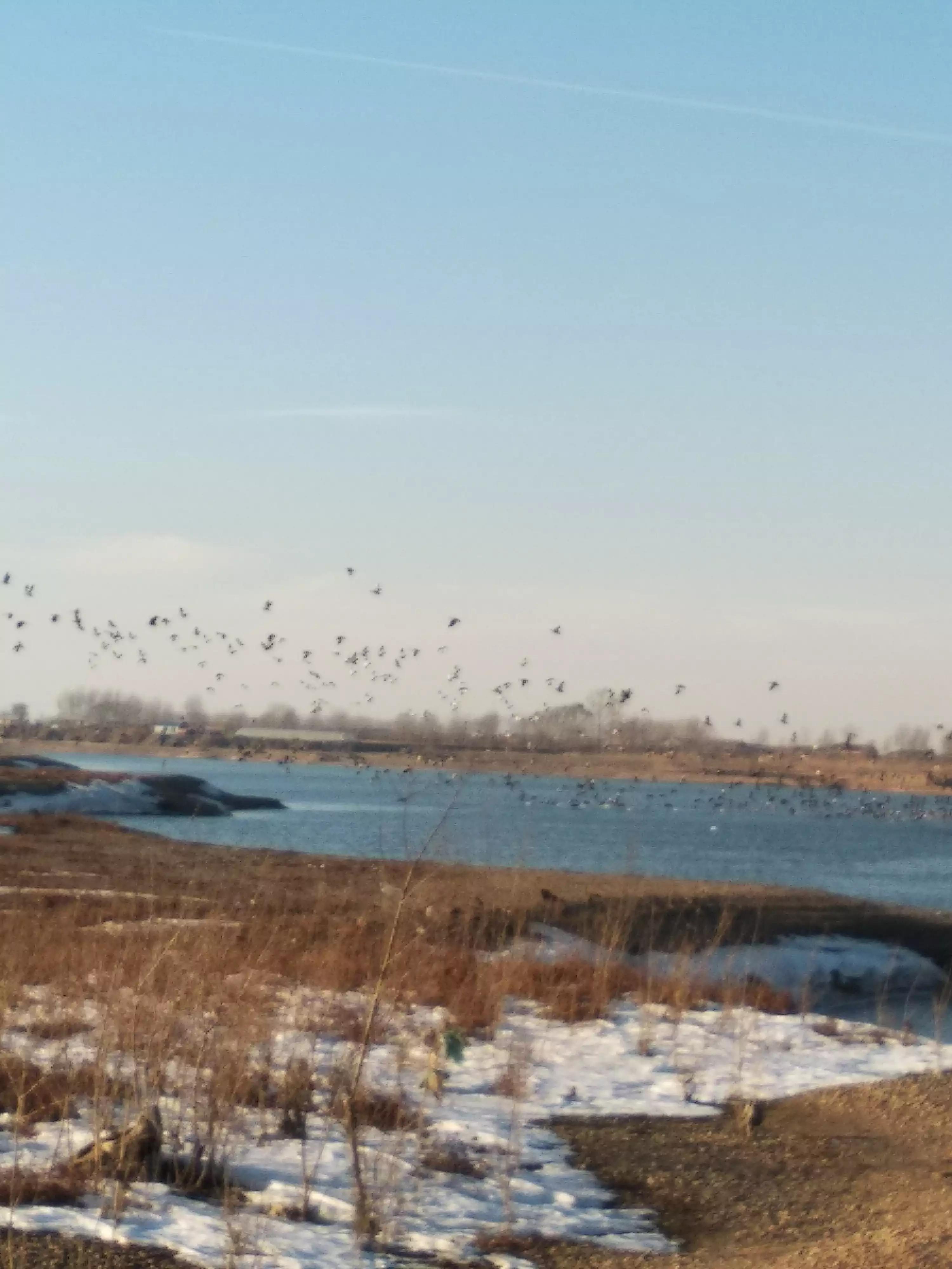 冬季的松花江千里冰封,松花江黄昏图片