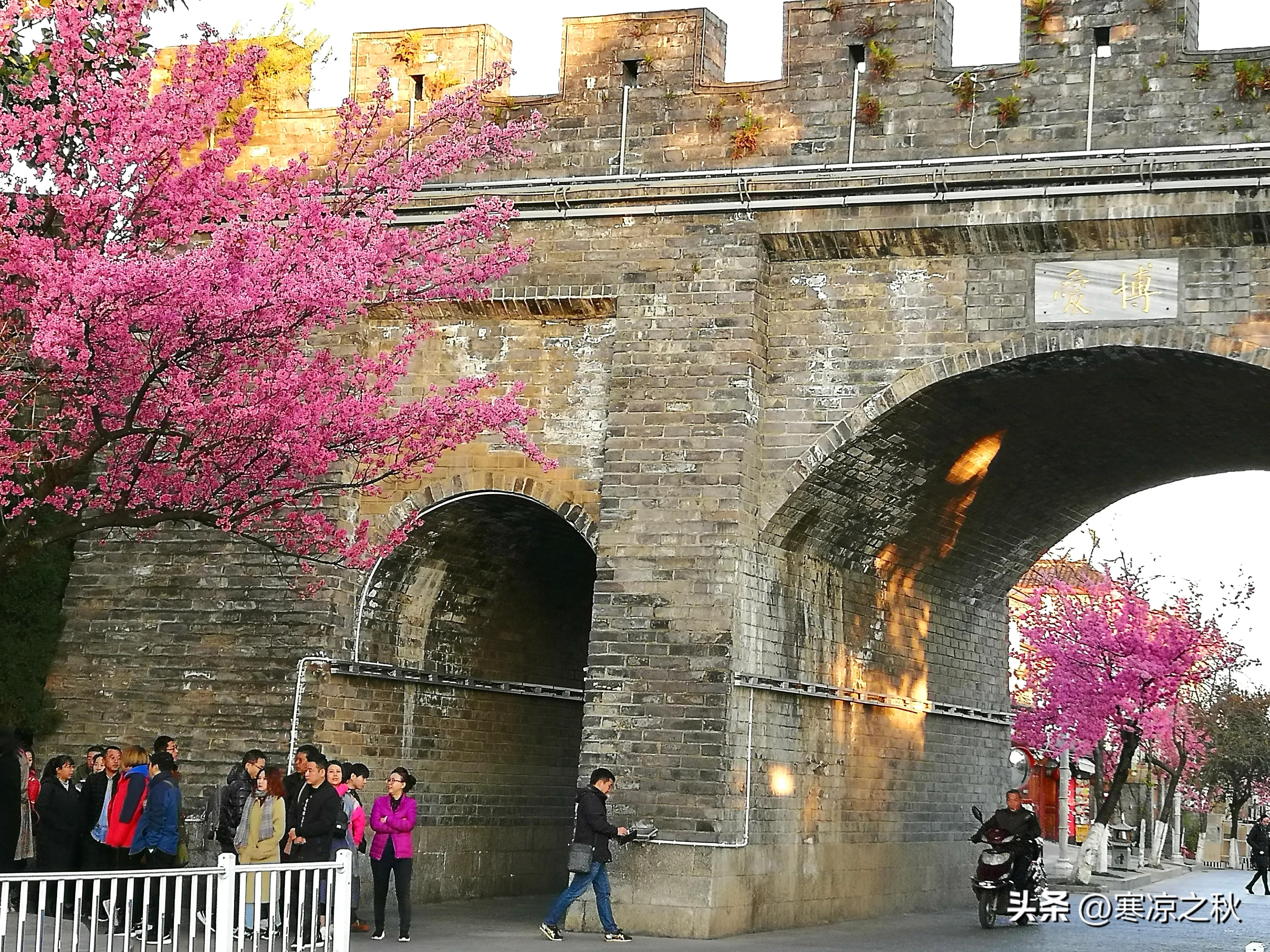 生活在大理的明星,生活在大理的韩国人