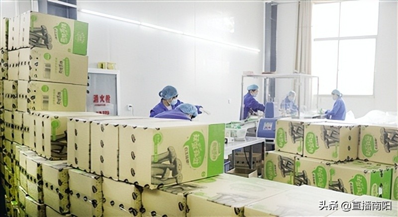 走绿色路打优质牌解锁富民强县“幸福密码”—淅川县创新拓展特色农产品销售综述