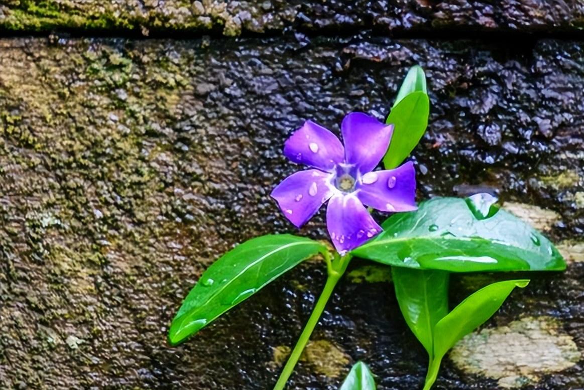 人生低谷的时候要学会大量阅读,迷茫时多看书清醒时多做事
