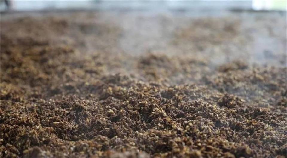 酒是粮食精越喝越年轻下一句,酒是粮食精越喝越年轻抖音