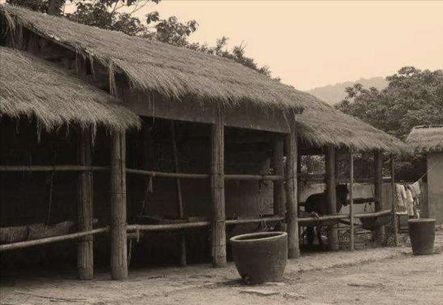 老兵看望去世战友一句话瞬间泪奔,断腿老兵看望战友