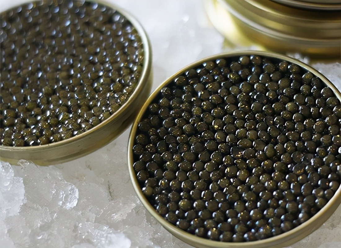 用黄金做的高级美食,价值百万的黄金美食