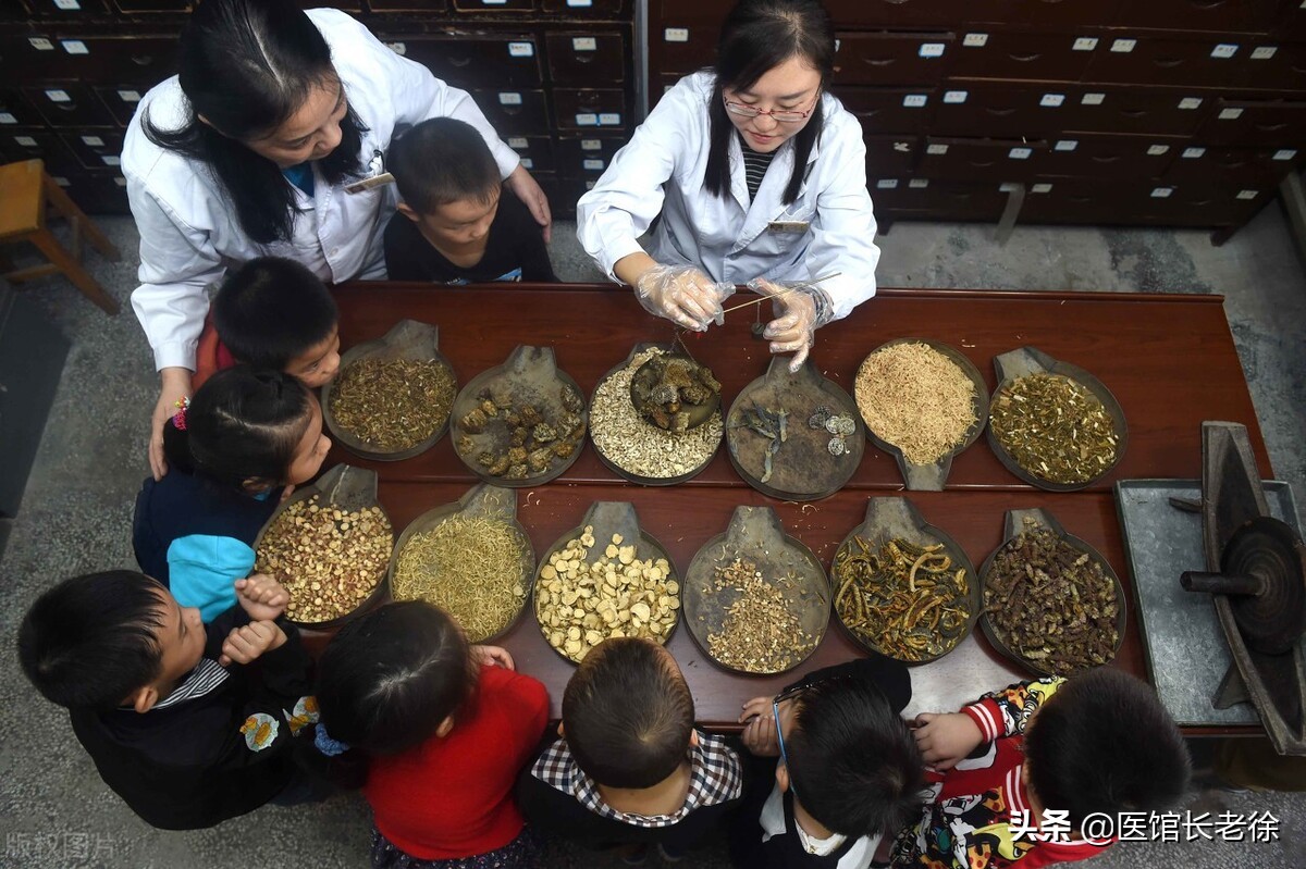 中医药为什么要走向世界,中医药永远不会失传