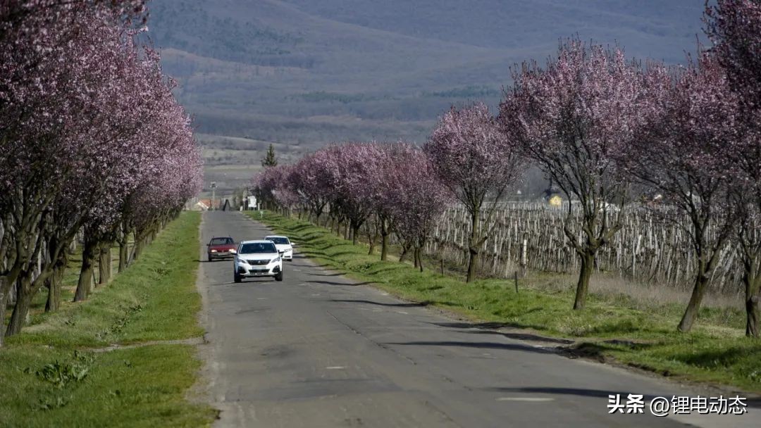 未来中国最大的动力电池公司,中国动力电池最大的企业