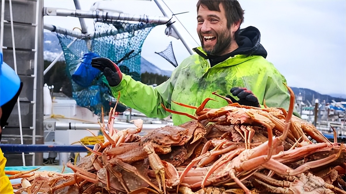 阿拉斯加雪蟹消失之谜,帝王蟹失踪原因