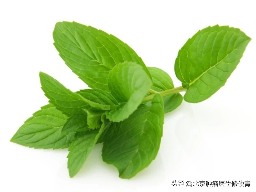 治肺结节软坚散结的药材有哪几种,消除肺结节用软坚散结的是什么药