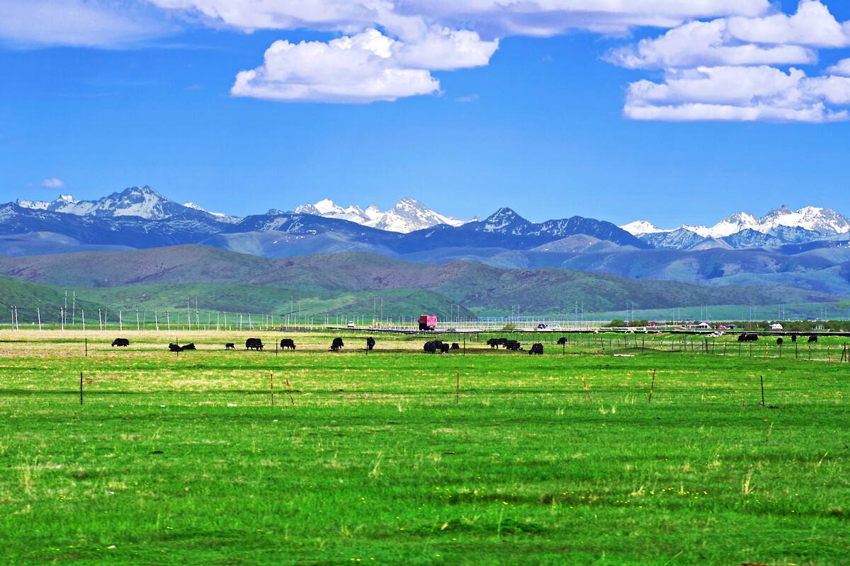 旅游风景若尔盖,旅游景点推荐自驾游四川红原攻略