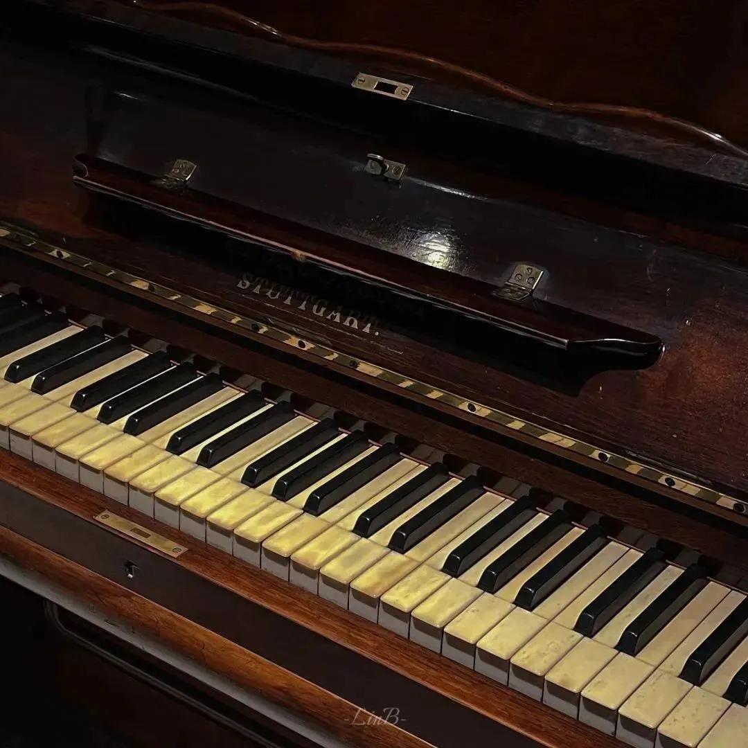 ins超火黑色背景图,黑色背景图ins高级感