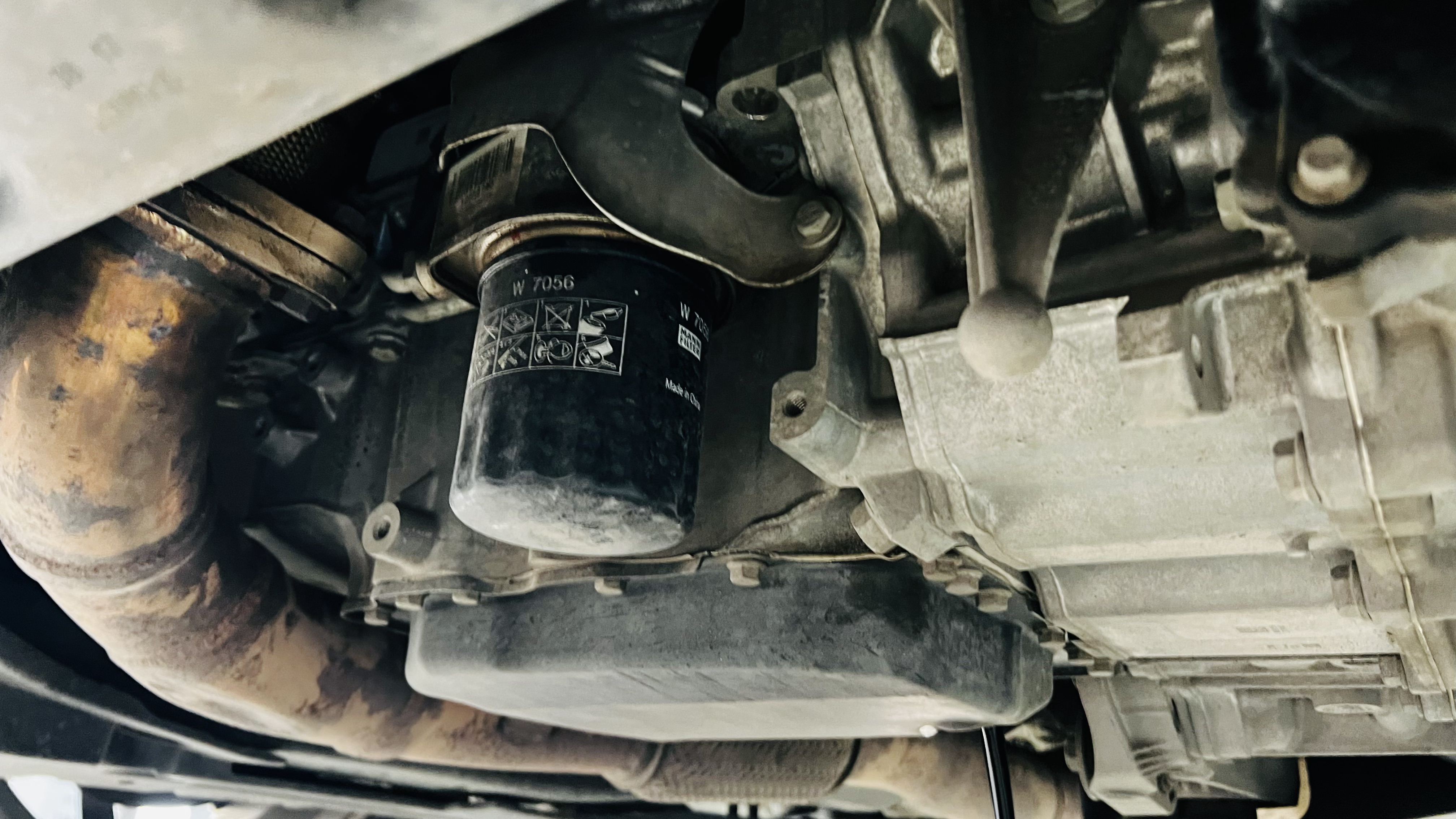 艾伦养护注意事项,艾伦怎样养护