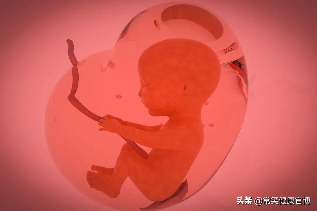 从怀孕就认识的宝妈,孕期白带检查清洁度怎么看