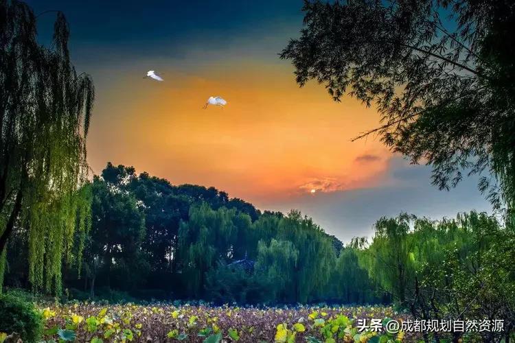 最美成都公园排名,成都最美的公园浣花溪翻修完成