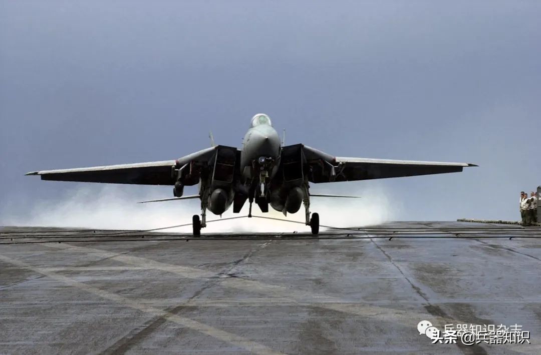 飞天的猫,飞天的猫和鱼