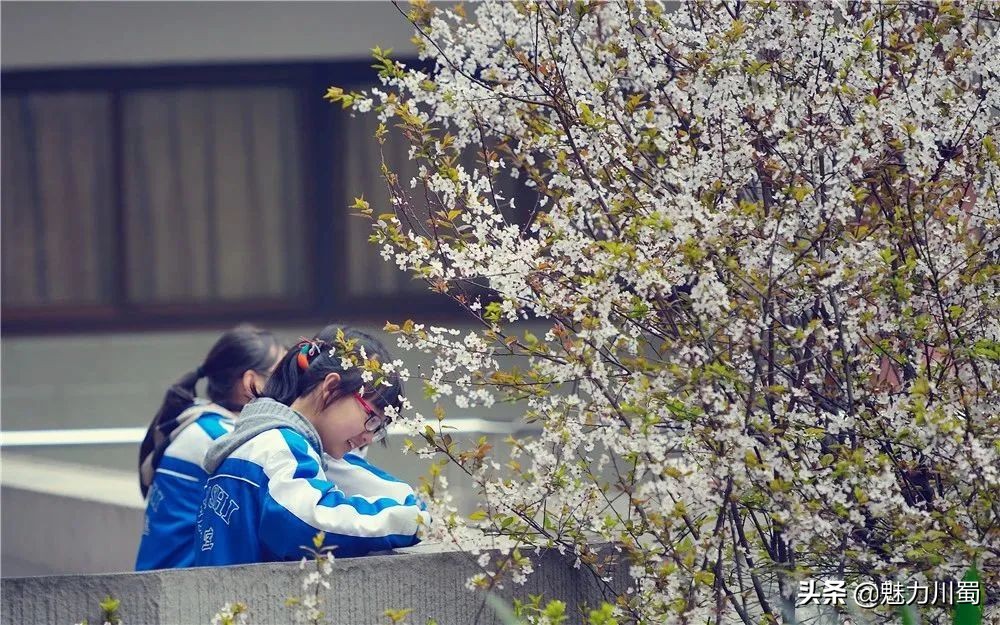 鎴愰兘鐭冲楂樹腑瀛︾敓绔炶禌鐢熸椿,鎴愰兘鐭冲澶╁簻楂樹腑绔炶禌