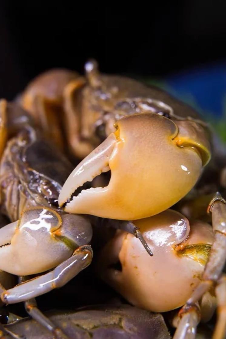 最“土味”的海鲜,这座山东小城吃得有多猛?