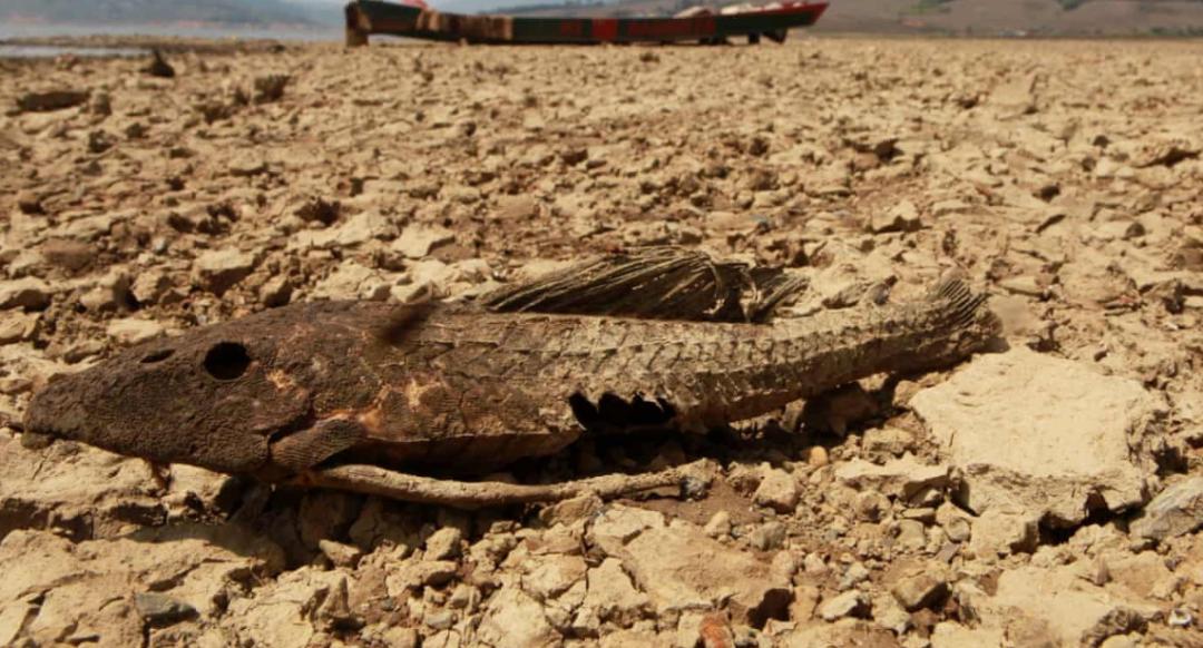 北极新发现甲烷了吗,北极甲烷大爆发是哪一年