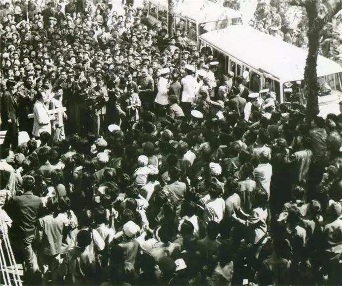 中野良子图文,中野良子冬季搭配