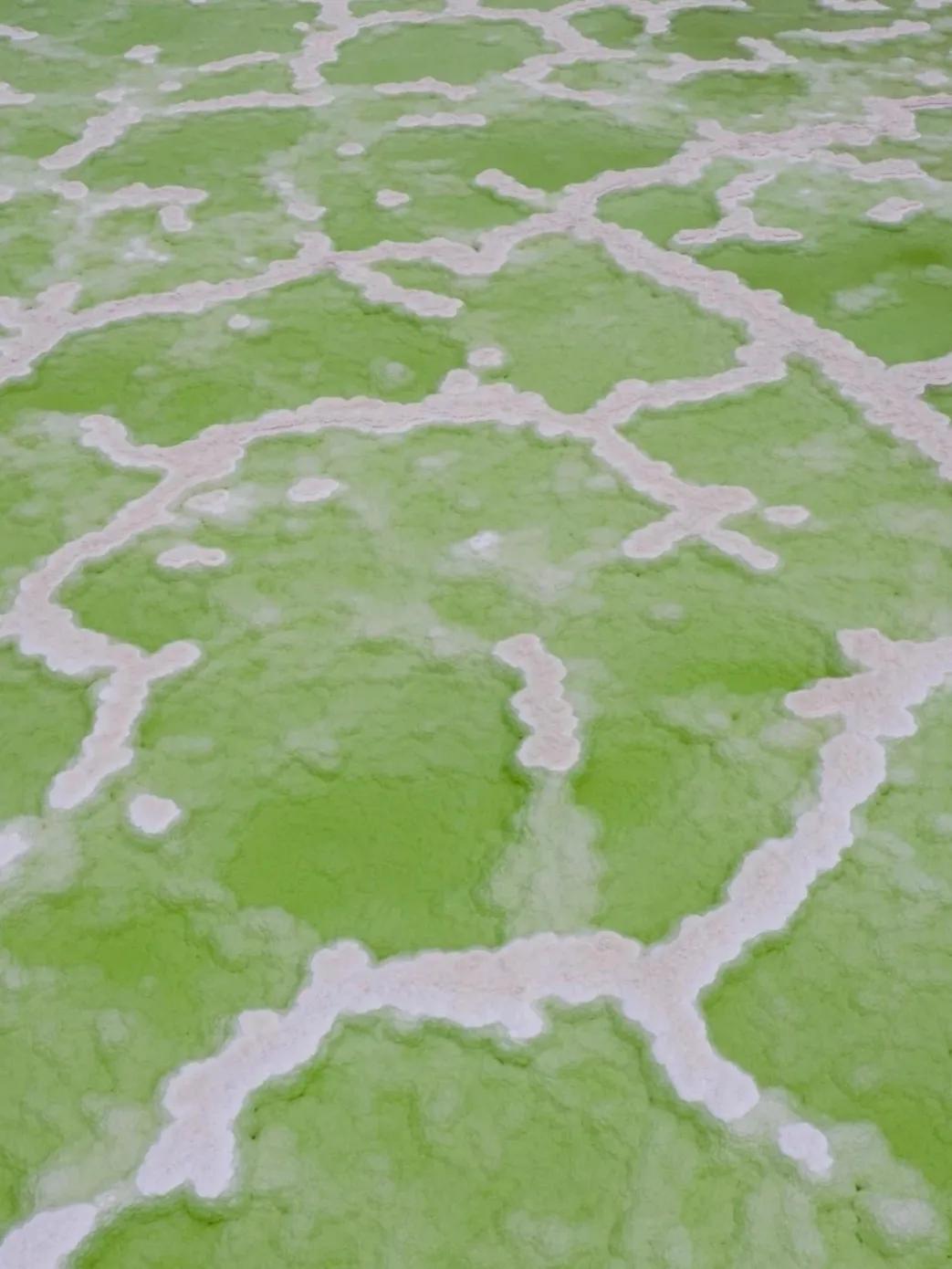 茶卡盐湖天空之镜最初的抖音,茶卡盐湖天空之镜几月份适合