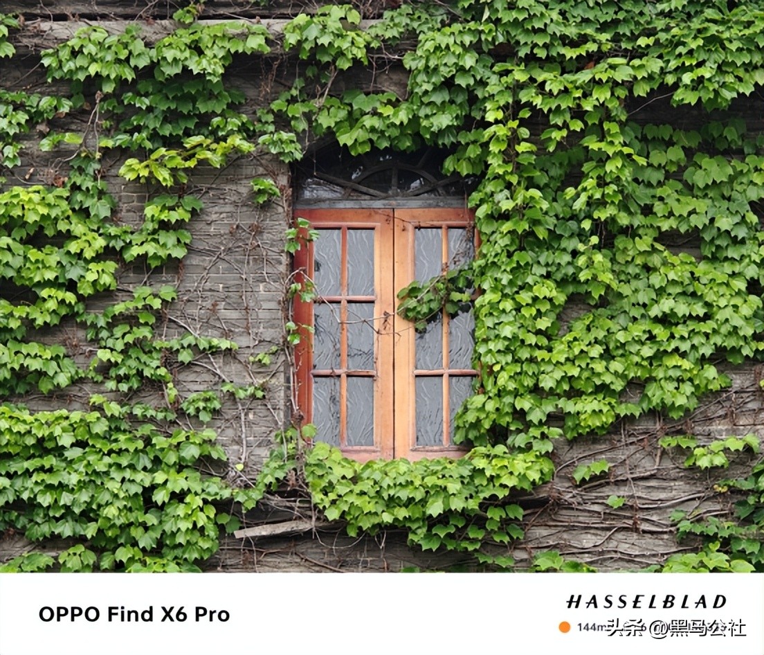 oppo和小米拍照对比,oppo大战vivo