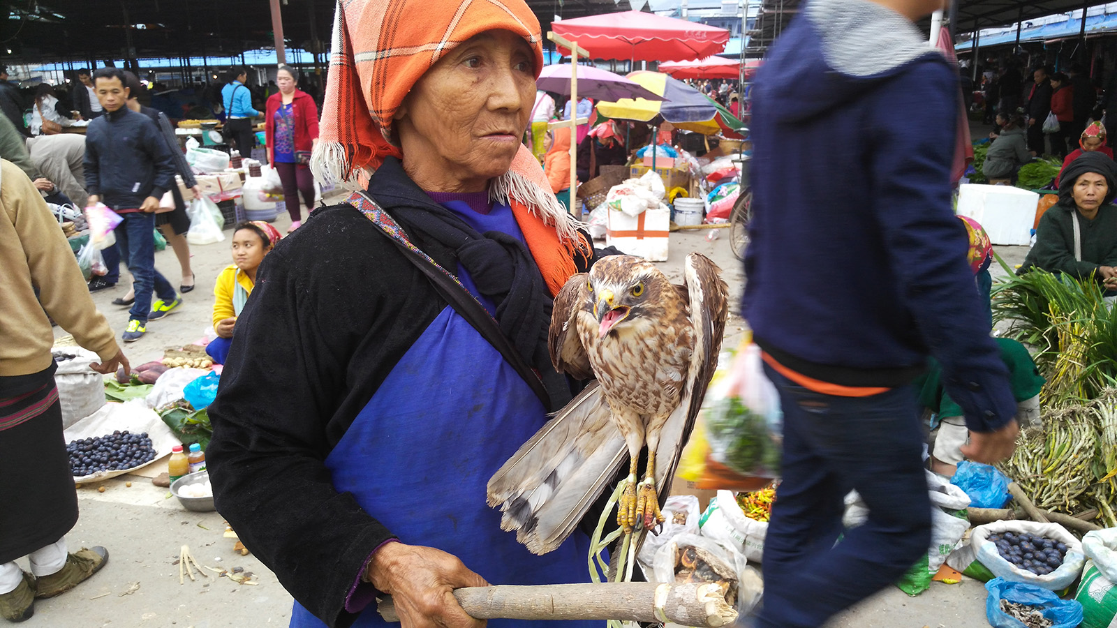 初哥视频,初哥徒步走西藏