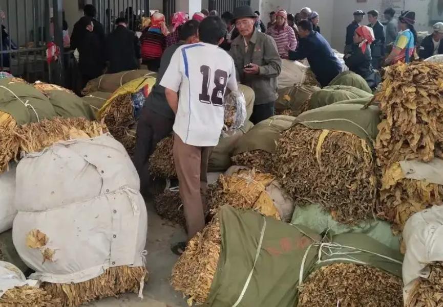 福建造假烟是哪个县,福建制造假烟的地方