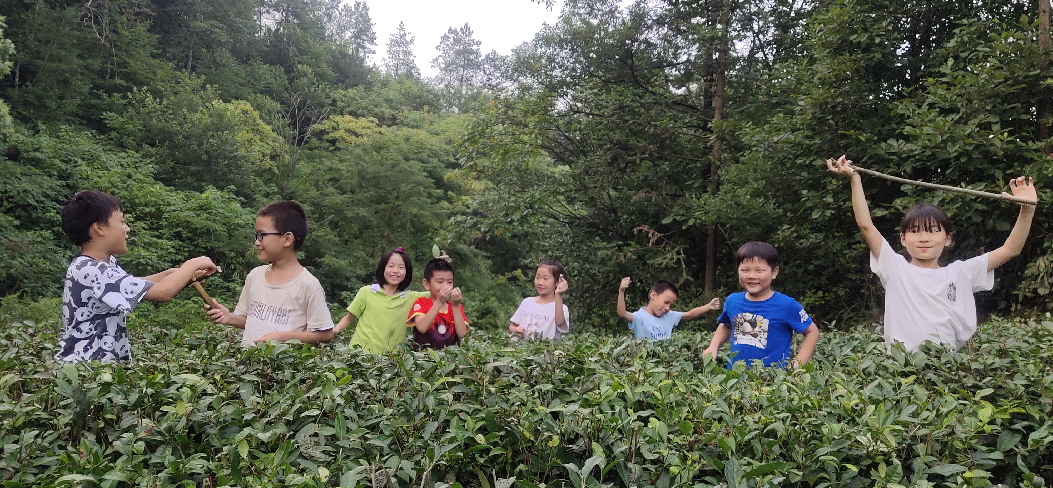 中国文化产业系列深度解析,浅析中国艺术文化产业的优势