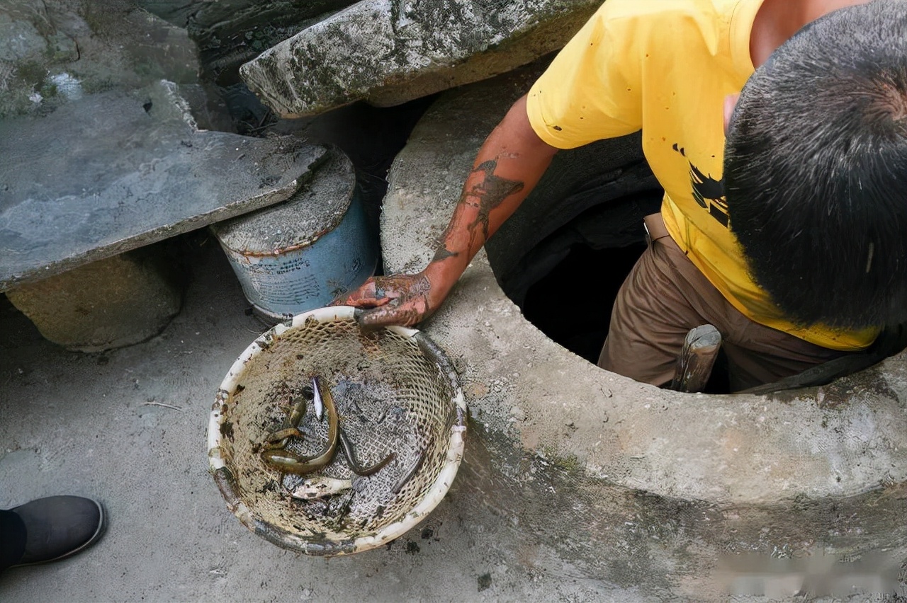 废弃停车场变鱼塘,深圳车库积水变鱼塘