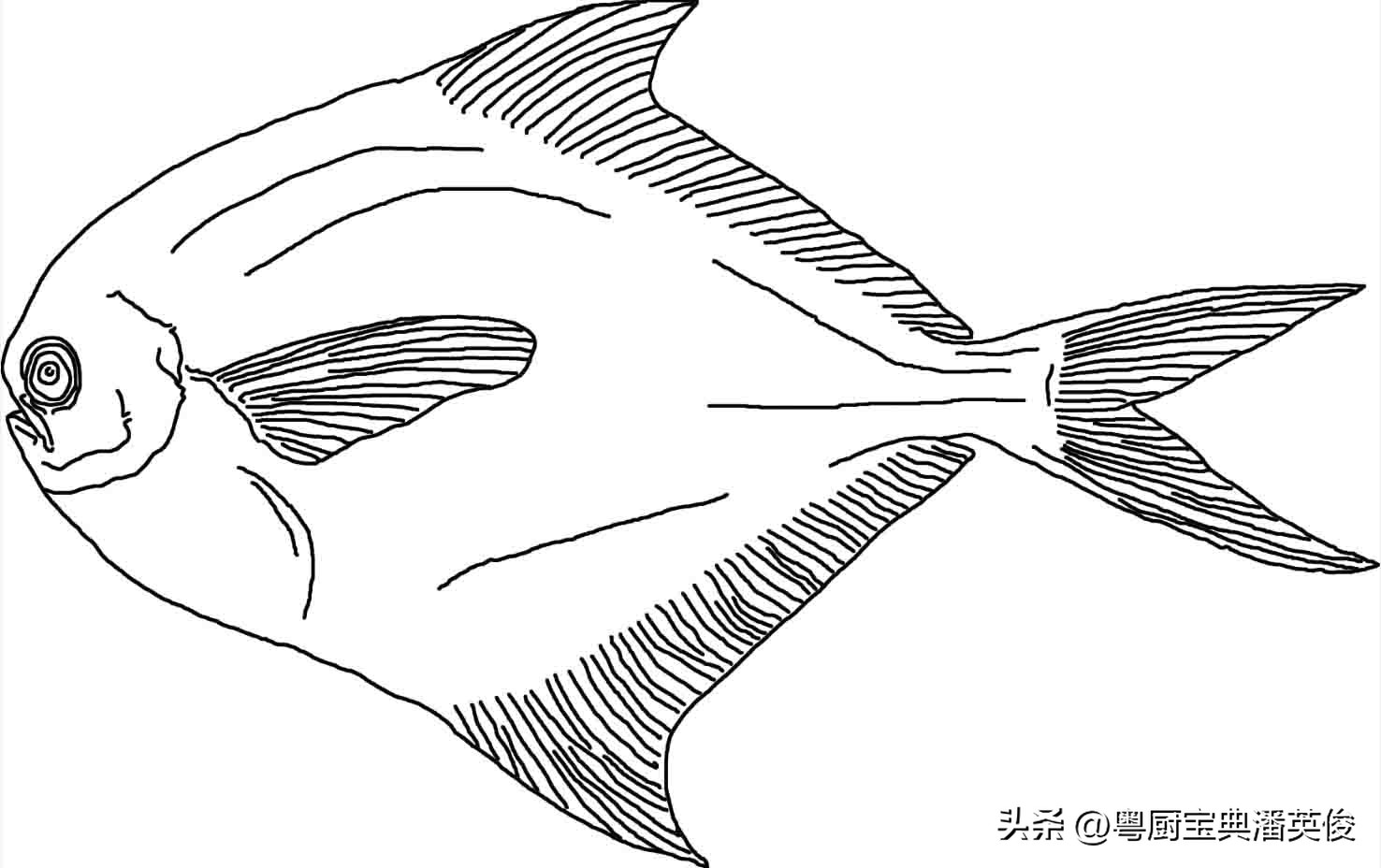 食材知识学习,食材知识视频教程