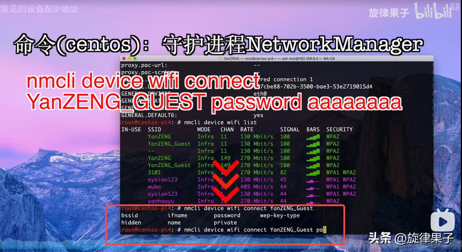 ip地址分配操作,mac地址绑定解决ip冲突