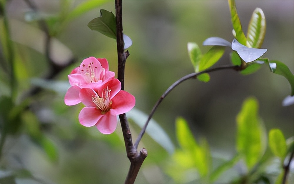 人与人之间最远的距离是阴阳相隔,人与人说话要保持一米以上的距离