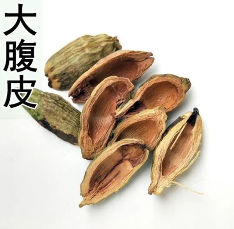 槟榔入药的是果实还是果皮,槟榔是果实怎么加工入药