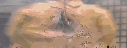 抗日神剧上百座大炮齐发炸鬼子,抗日神剧雷人名场面